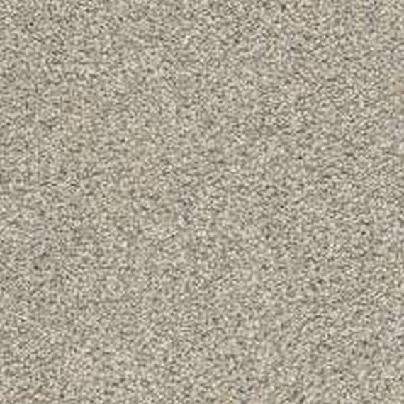 Phenix Floor Ever Pet Plus 12' Paxton Carpet Tile