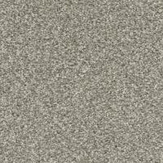 Phenix Floor Ever Pet Plus 12' Paxton Carpet Tile