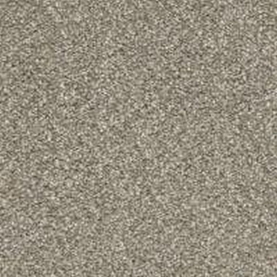 Phenix Floor Ever Pet Plus 12' Paxton Carpet Tile