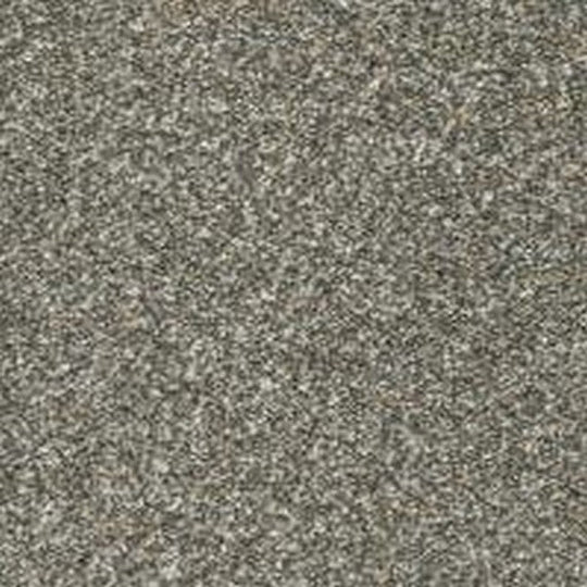 Phenix Floor Ever Pet Plus 12' Paxton Carpet Tile