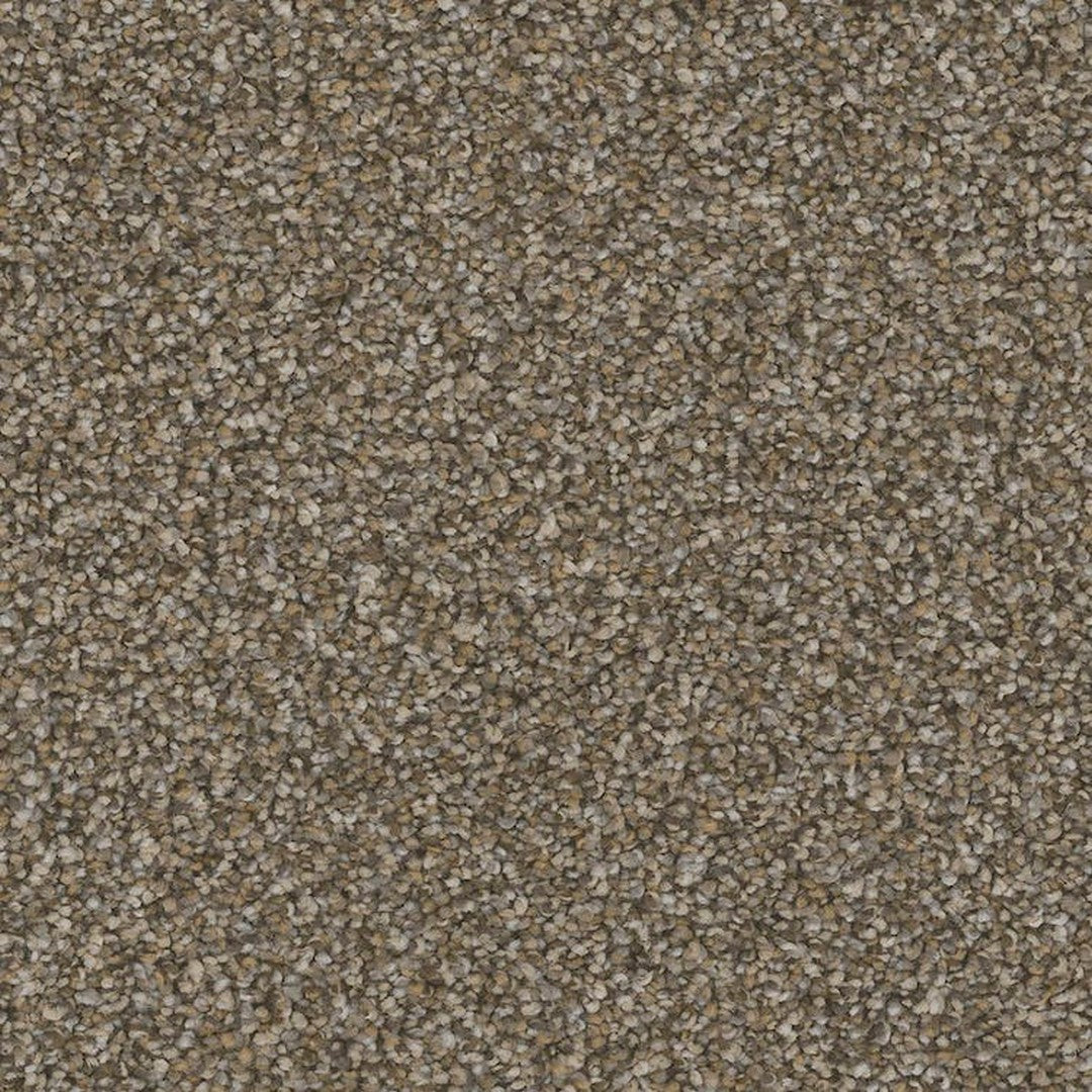 Phenix Floor Ever Pet Plus 12' Bari Carpet Tile