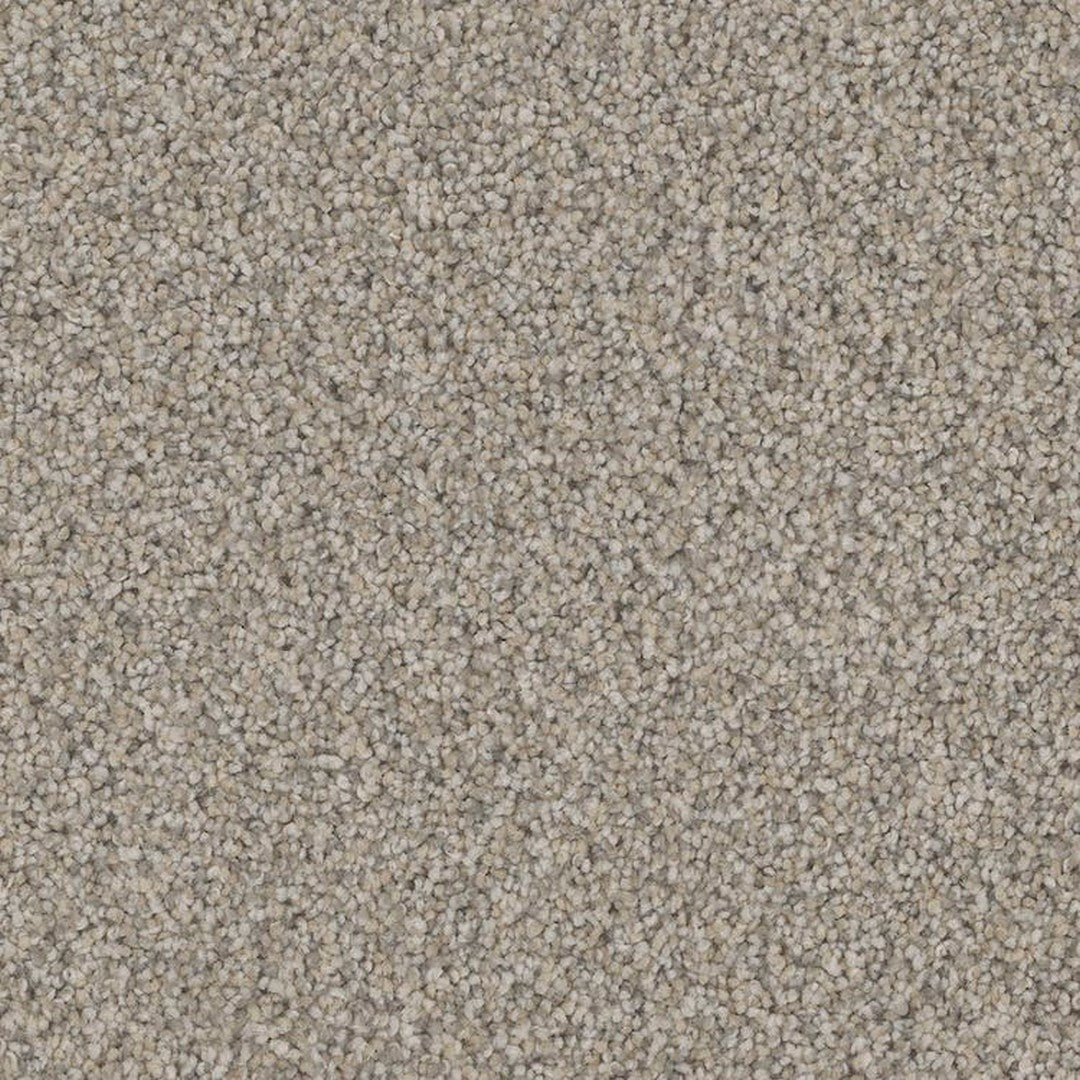 Phenix Floor Ever Pet Plus 12' Bari Carpet Tile