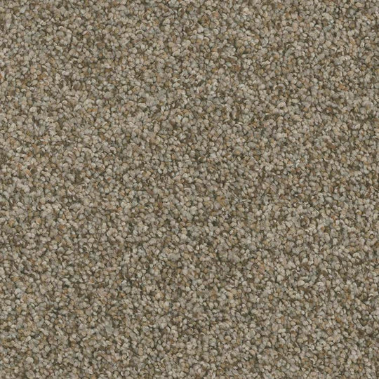 Phenix Floor Ever Pet Plus 12' Bari Carpet Tile