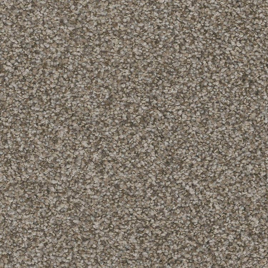 Phenix Floor Ever Pet Plus 12' Bari Carpet Tile