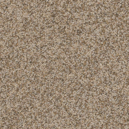 Phenix Floor Ever Pet Plus 12' Catania Carpet Tile