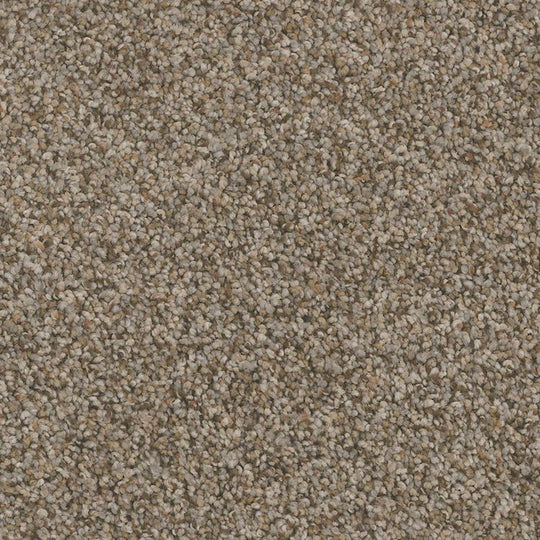 Phenix Floor Ever Pet Plus 12' Catania Carpet Tile