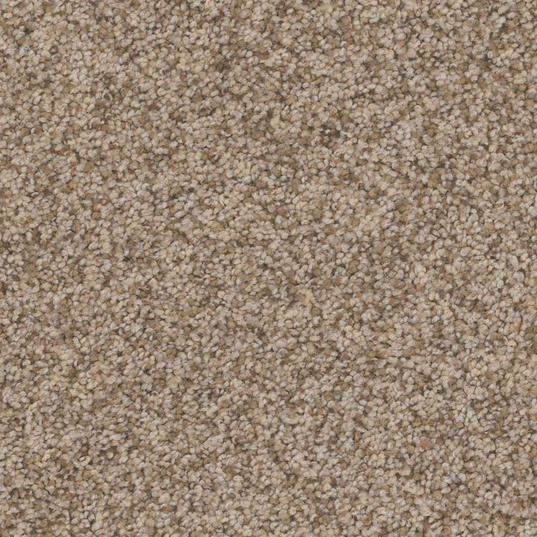 Phenix Floor Ever Pet Plus 12' Palermo Carpet Tile