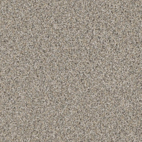 Phenix Floor Ever Pet Plus 12' Palermo Carpet Tile