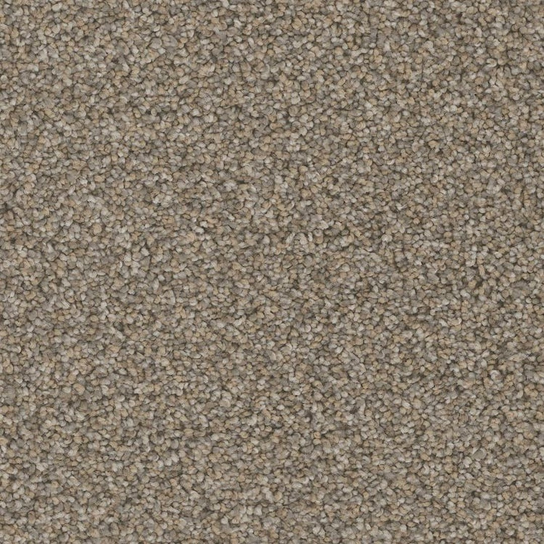 Phenix Floor Ever Pet Plus 12' Palermo Carpet Tile