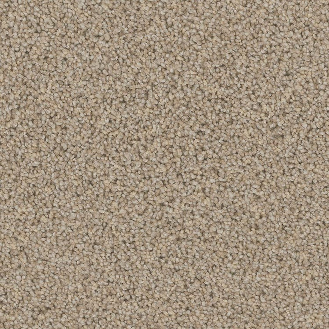 Phenix Floor Ever Pet Plus 12' Palermo Carpet Tile