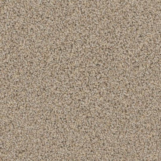 Phenix Floor Ever Pet Plus 12' Palermo Carpet Tile