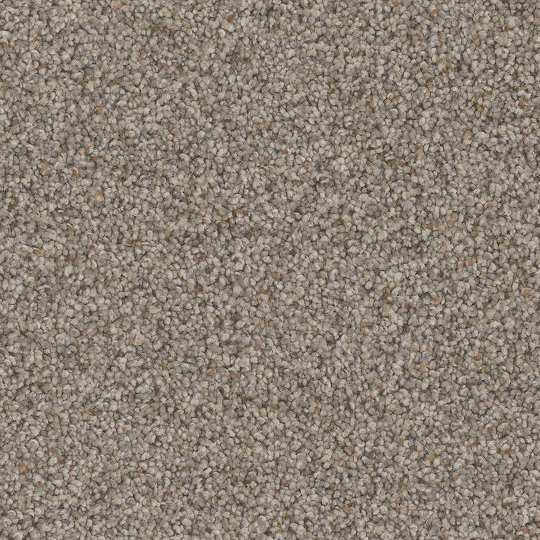 Phenix Floor Ever Pet Plus 12' Palermo Carpet Tile