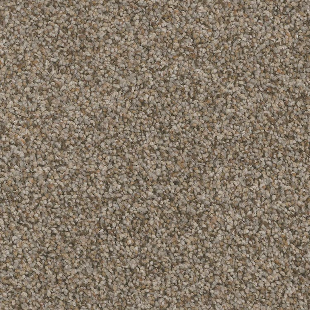 Phenix Floor Ever Pet Plus 12' Palermo Carpet Tile