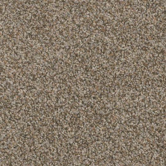 Phenix Floor Ever Pet Plus 12' Palermo Carpet Tile