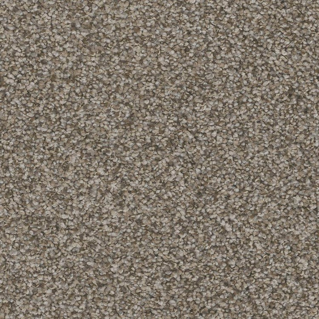 Phenix Floor Ever Pet Plus 12' Palermo Carpet Tile