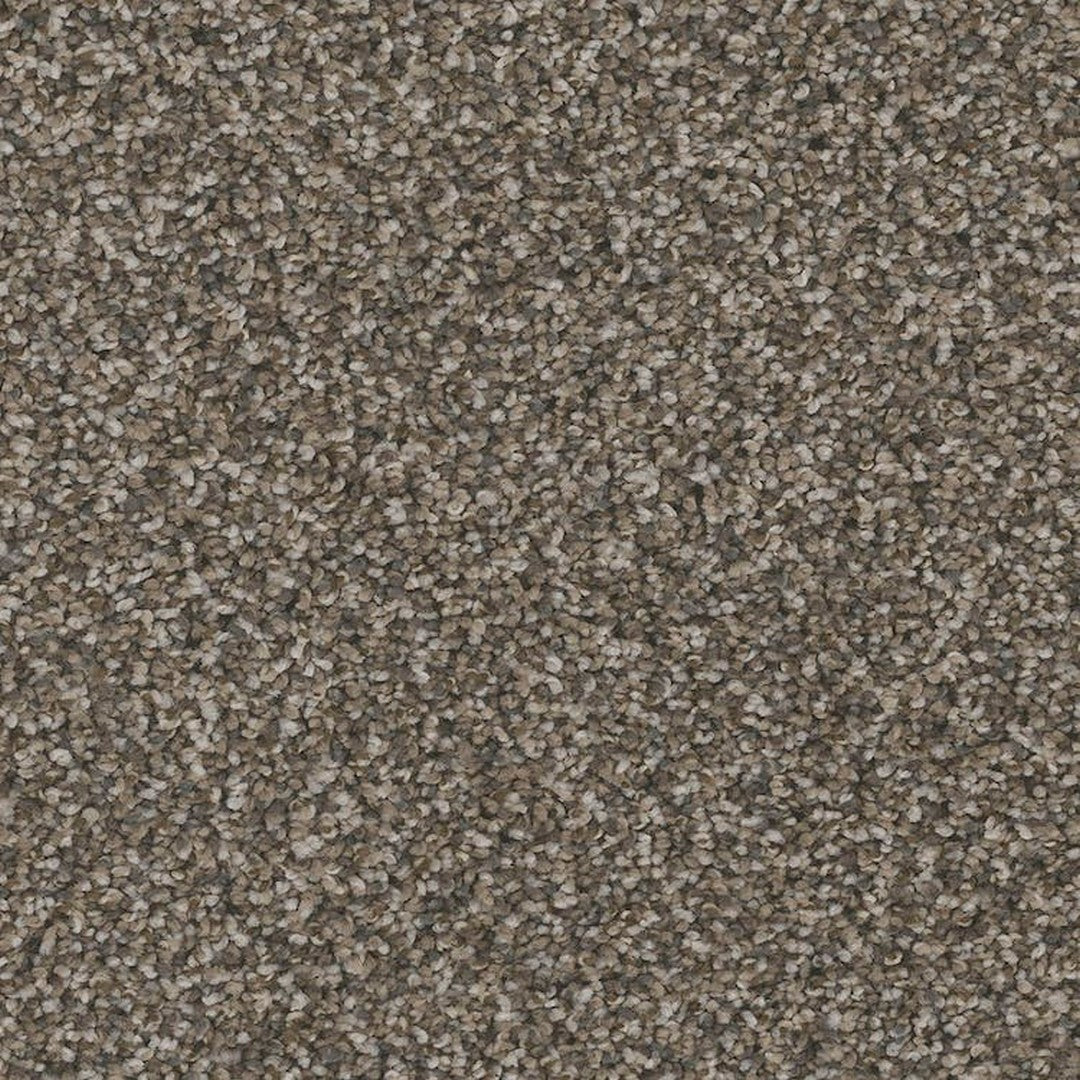 Phenix Floor Ever Pet Plus 12' Palermo Carpet Tile