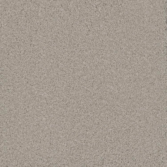 Phenix Floor Ever Pet Plus 12' Bougie Carpet Tile