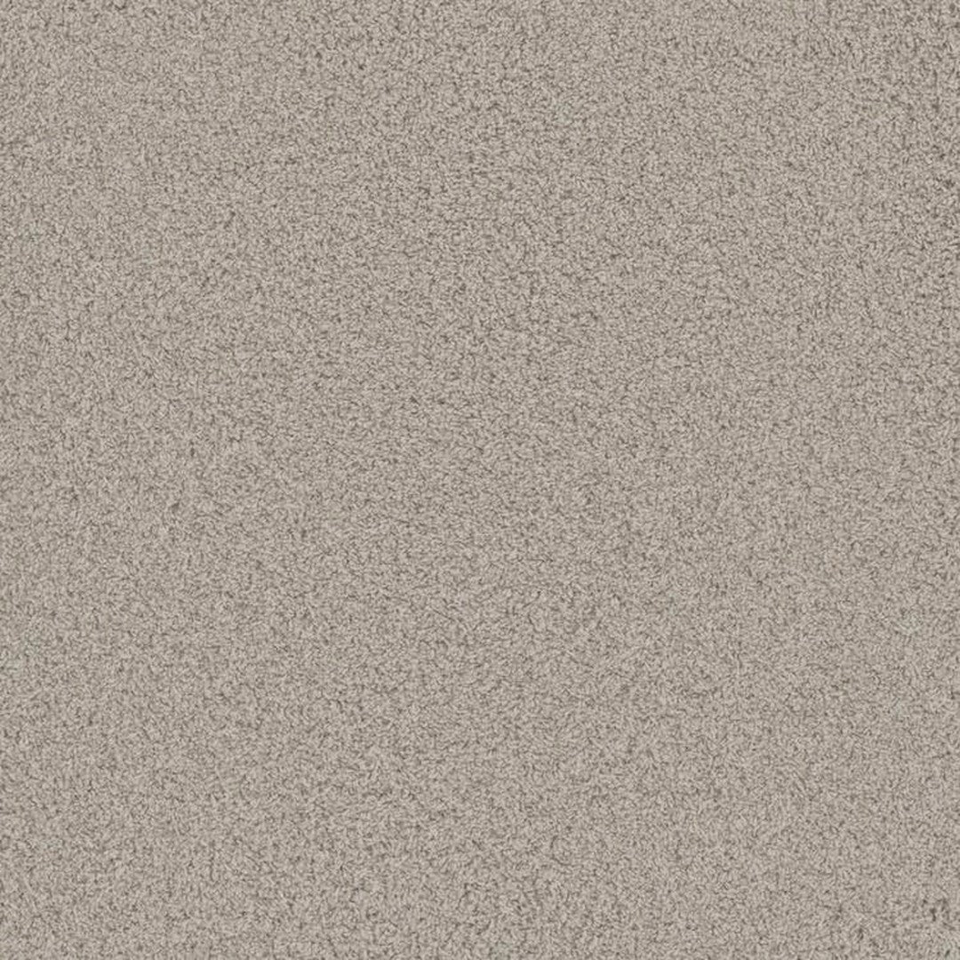 Phenix Floor Ever Pet Plus 12' Bougie Carpet Tile