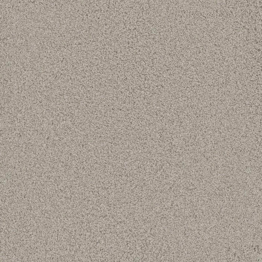 Phenix Floor Ever Pet Plus 12' Bougie Carpet Tile