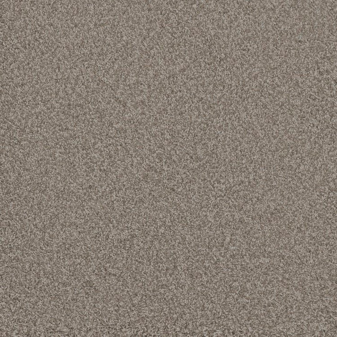 Phenix Floor Ever Pet Plus 12' Bougie Carpet Tile