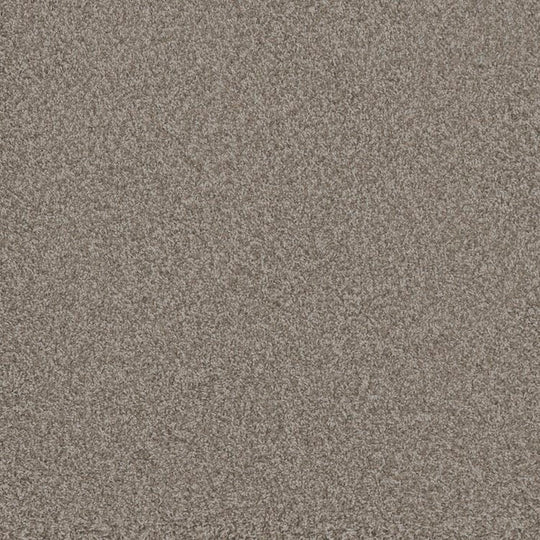 Phenix Floor Ever Pet Plus 12' Bougie Carpet Tile