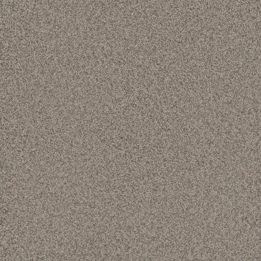 Phenix Floor Ever Pet Plus 12' Bougie Carpet Tile