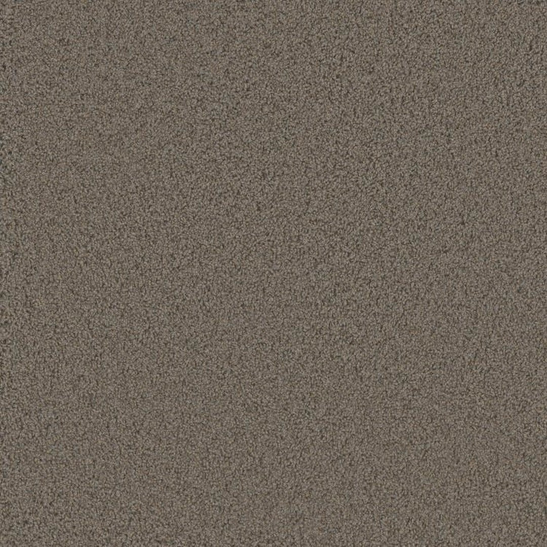 Phenix Floor Ever Pet Plus 12' Luxe Carpet Tile