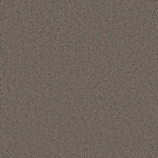 Phenix Floor Ever Pet Plus 12' Luxe Carpet Tile