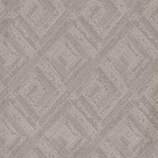 Phenix Floor Ever Pet Plus 12' Big Sur Carpet Tile