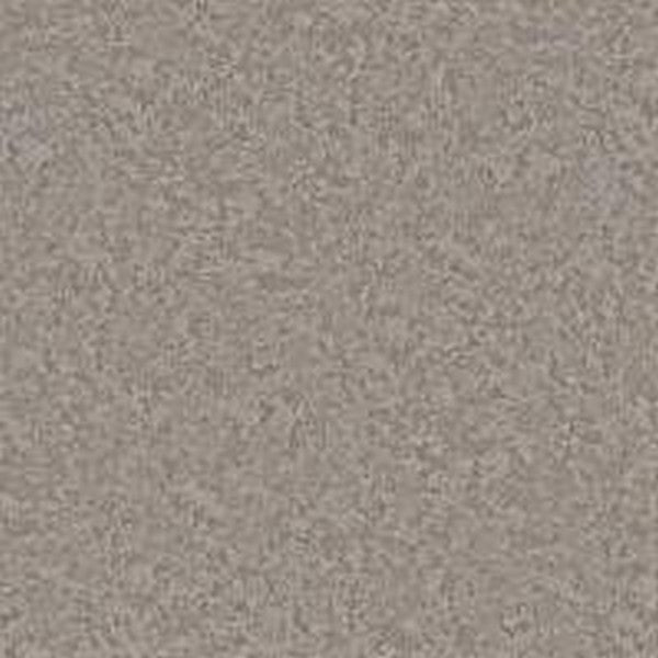 Phenix Floor Ever Pet Plus 12' Aviara Carpet Tile