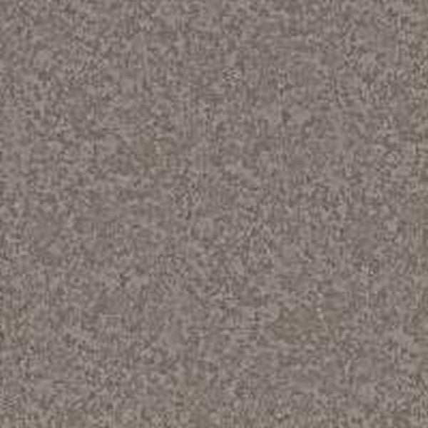 Phenix Floor Ever Pet Plus 12' Aviara Carpet Tile