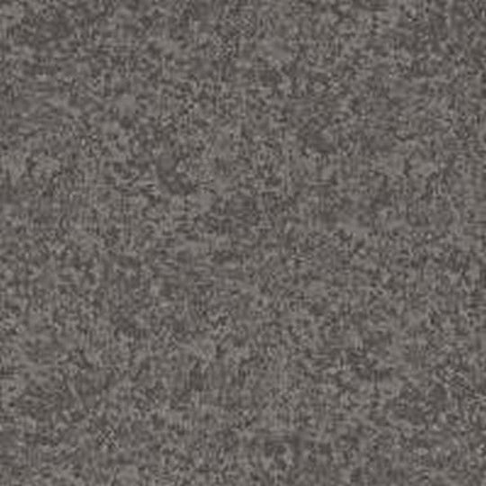 Phenix Floor Ever Pet Plus 12' Aviara Carpet Tile