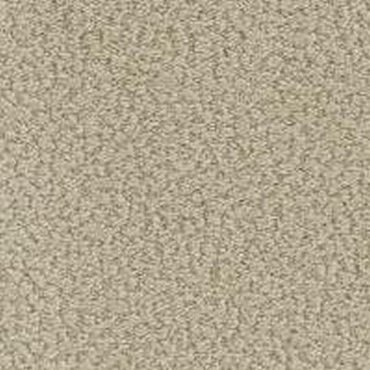 Phenix Floor Ever Pet Plus 12' In the Details Carpet Tile