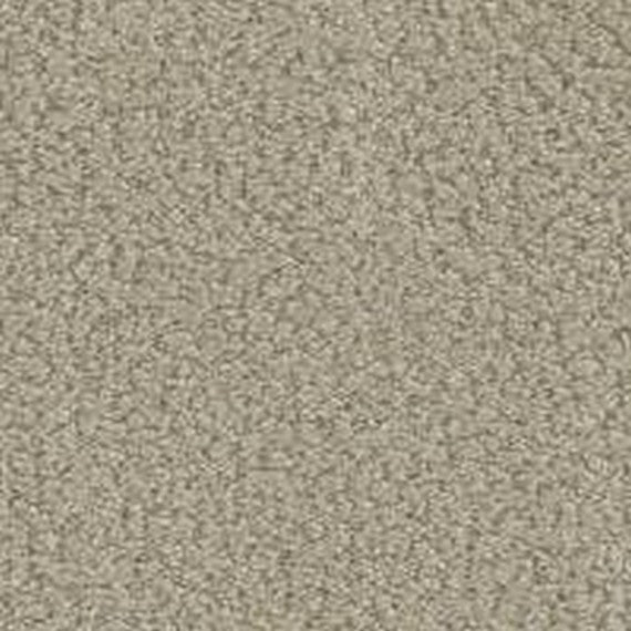 Phenix Floor Ever Pet Plus 12' In the Details Carpet Tile