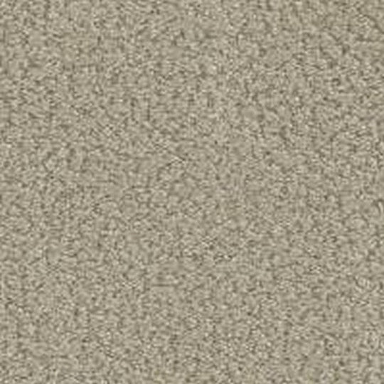 Phenix Floor Ever Pet Plus 12' In the Details Carpet Tile