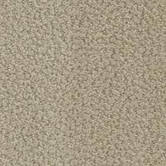 Phenix Floor Ever Pet Plus 12' In the Details Carpet Tile