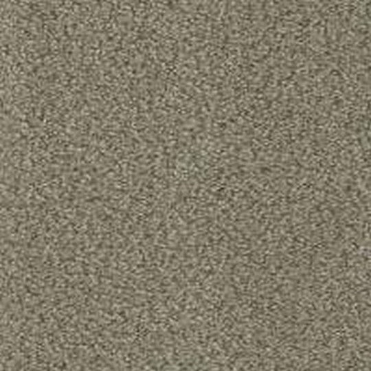 Phenix Floor Ever Pet Plus 12' In the Details Carpet Tile