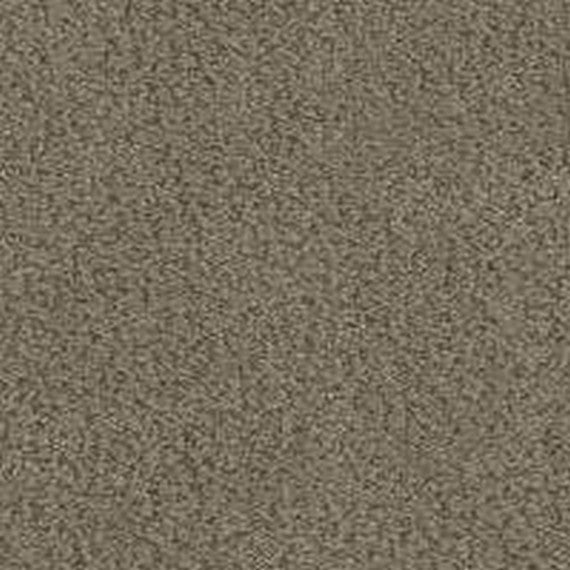 Phenix Floor Ever Pet Plus 12' In the Details Carpet Tile