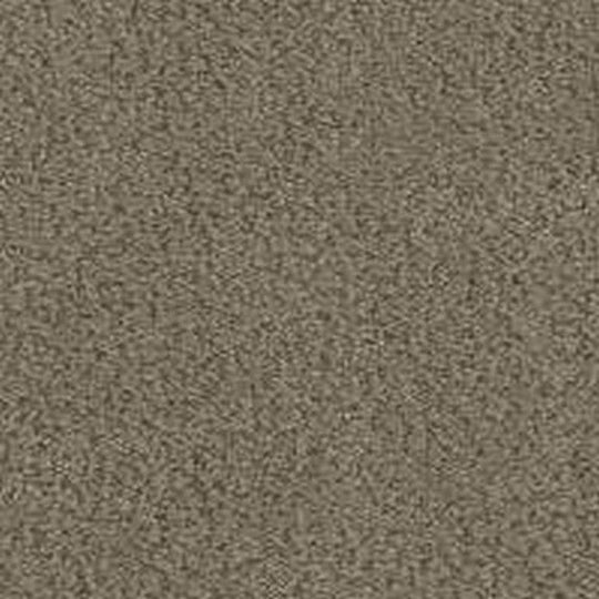 Phenix Floor Ever Pet Plus 12' In the Details Carpet Tile