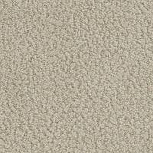 Phenix Floor Ever Pet Plus 12' In the Details Carpet Tile