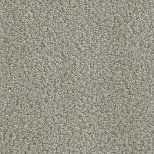 Phenix Floor Ever Pet Plus 12' In the Details Carpet Tile