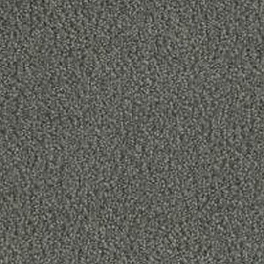 Phenix Floor Ever Pet Plus 12' In the Details Carpet Tile