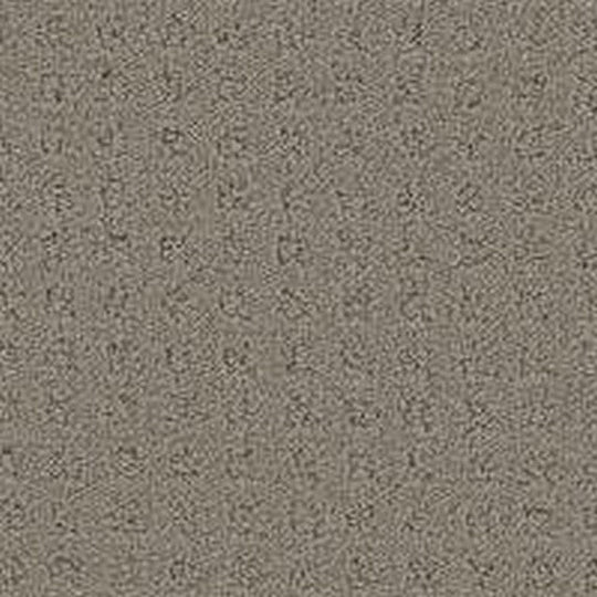 Phenix Floor Ever Pet Plus Debut 12' Carpet Tile