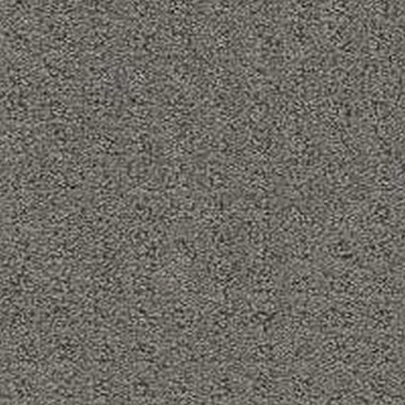 Phenix Floor Ever Pet Plus Debut 12' Carpet Tile