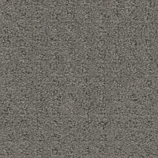 Phenix Floor Ever Pet Plus Debut 12' Carpet Tile