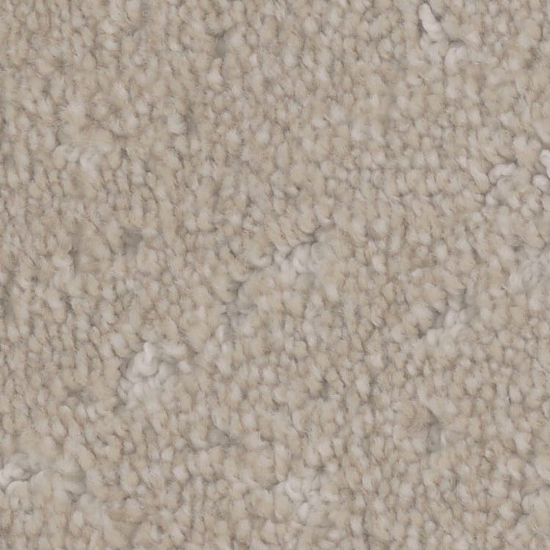 Phenix Floor Ever Pet Plus 12' Impression Carpet Tile