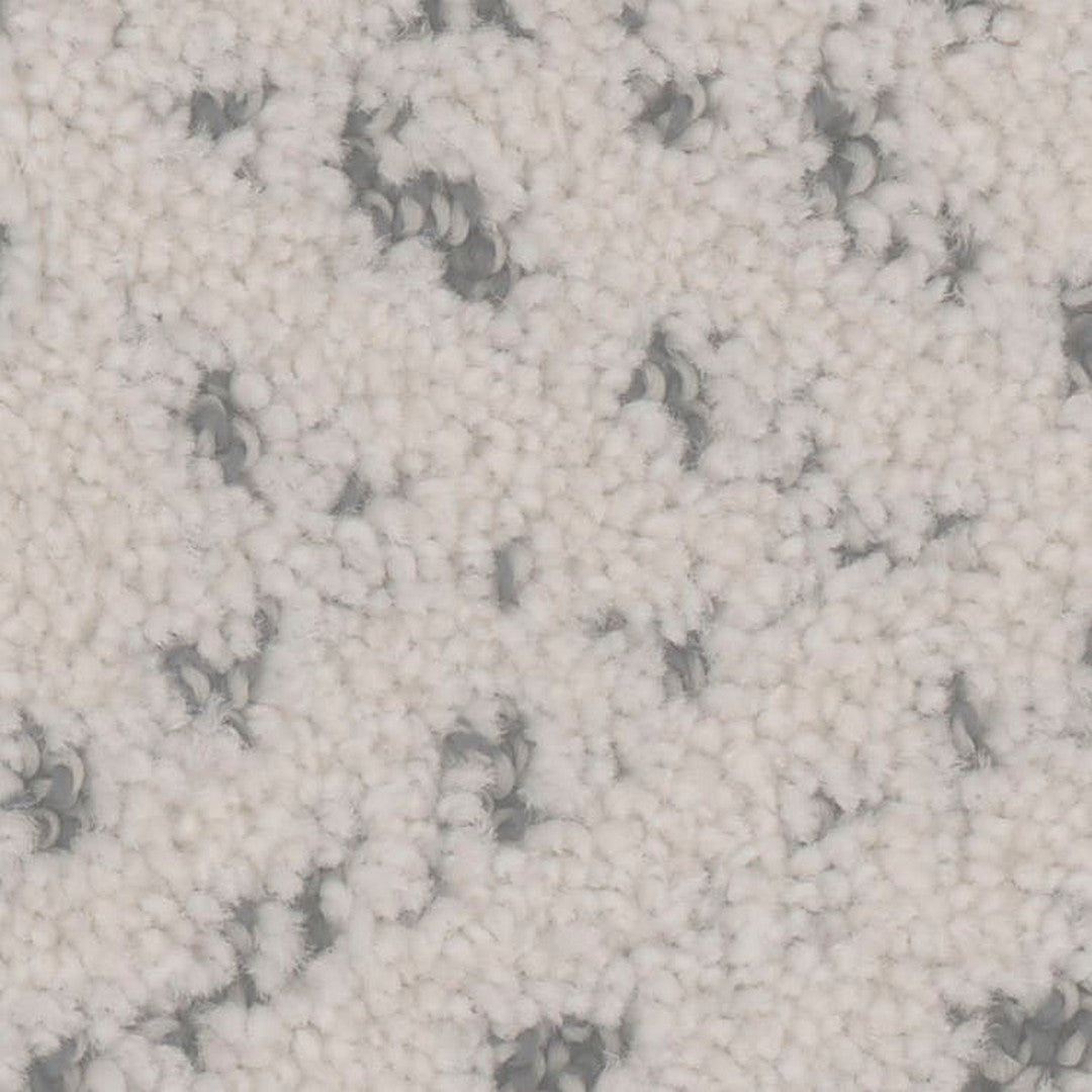 Phenix Floor Ever Pet Plus 12' Impression Carpet Tile