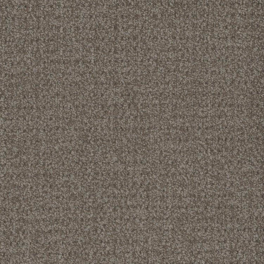 Phenix Floor Ever Pet Plus 12' Cardigan Carpet Tile