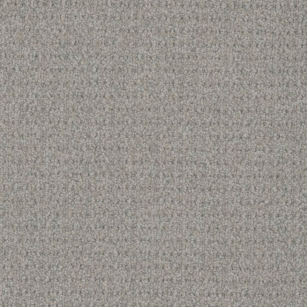 Phenix Floor Ever Pet Plus 12' Cardigan Carpet Tile