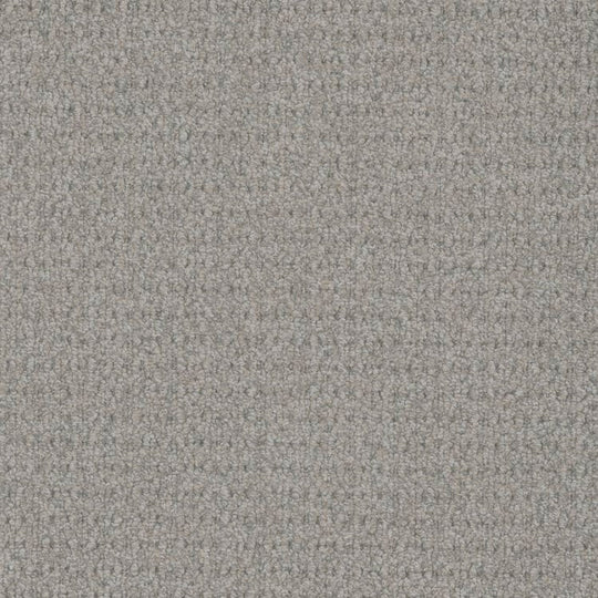 Phenix Floor Ever Pet Plus 12' Cardigan Carpet Tile